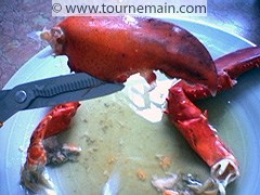 Cuire et décortiquer le homard - étape 6